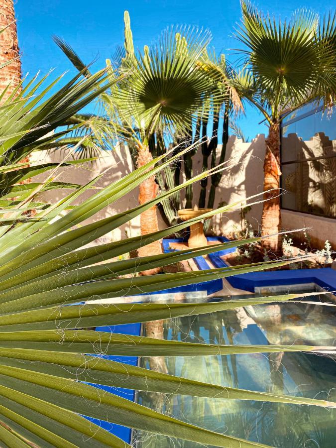 Maison Daouia Ouled Jelal Экстерьер фото